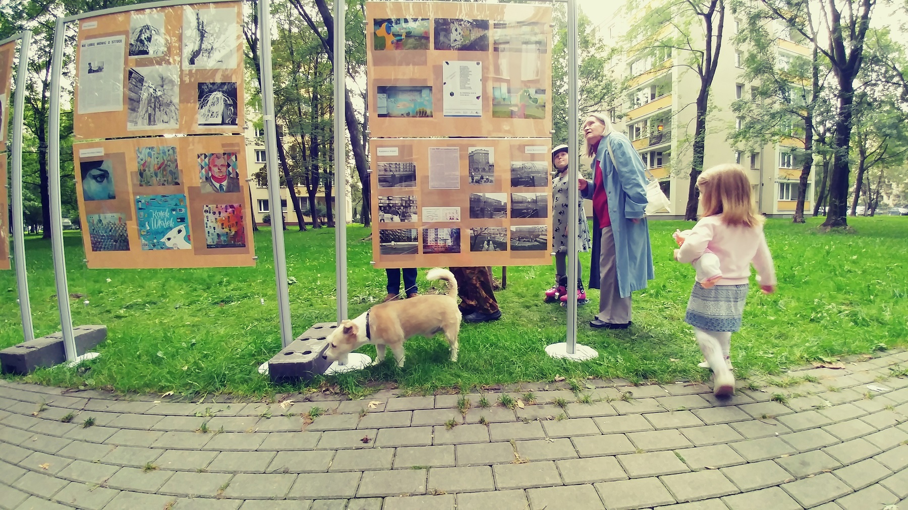 20170924 172806 Film1a